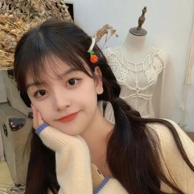 完美配对谋杀案